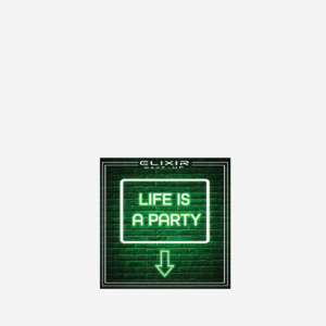 I Closed Life Is A Party Palettes